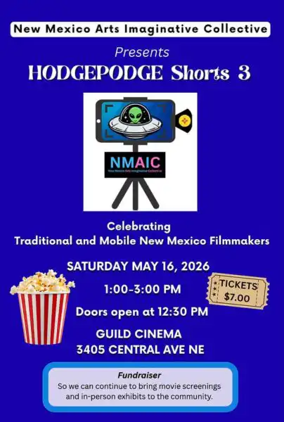 Hodgepodge Shorts 3