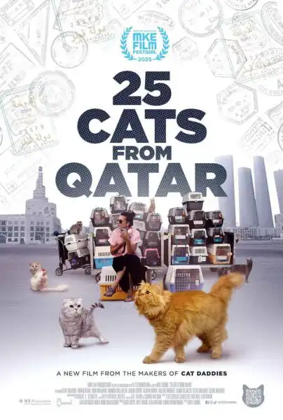 25 Cats From Qatar